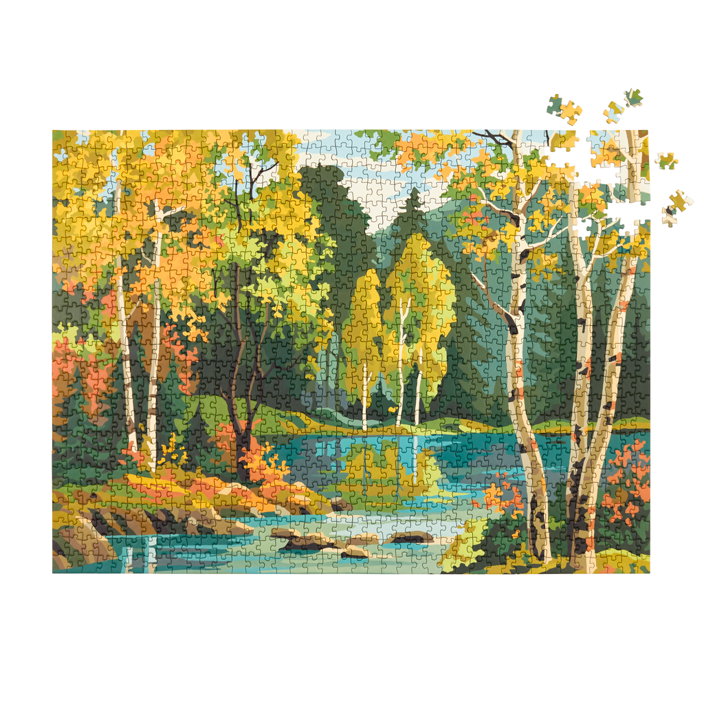 Vintage Paint by Numbers Set - 5 Puzzles
