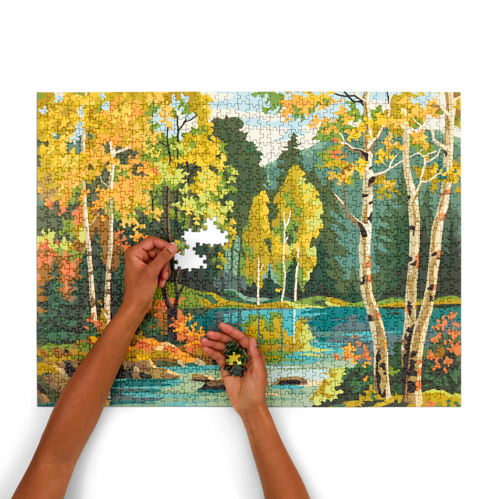 Vintage Paint by Numbers - Forest