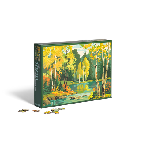 Vintage Paint by Numbers Set - 5 Puzzles