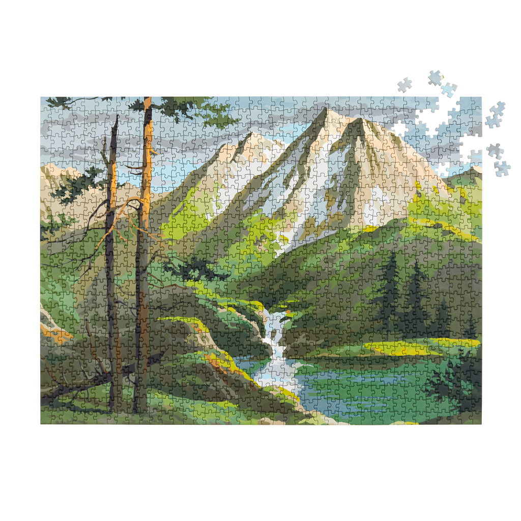Vintage Paint by Numbers Set - 5 Puzzles